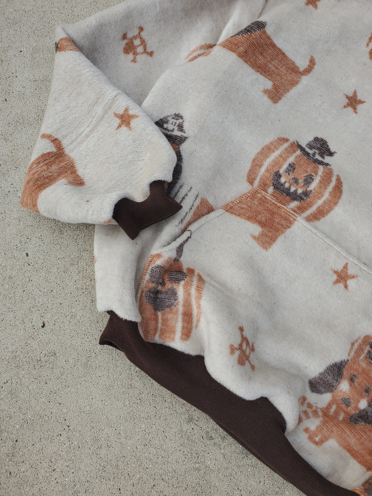 Pumpkin Pals Hoodie (fits up to XL)