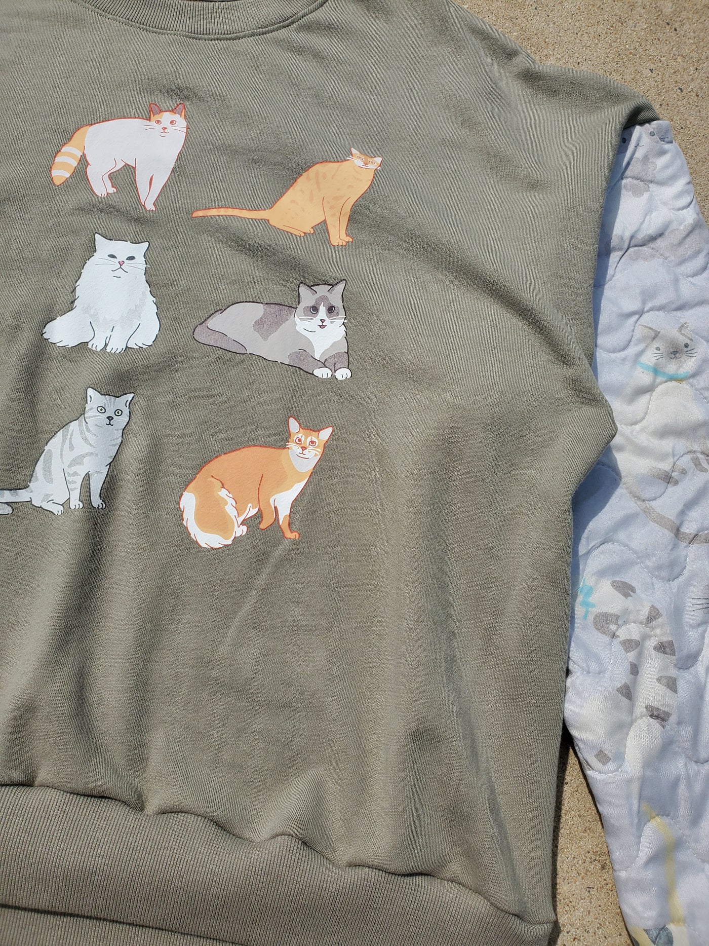 Cozy Companion Crew