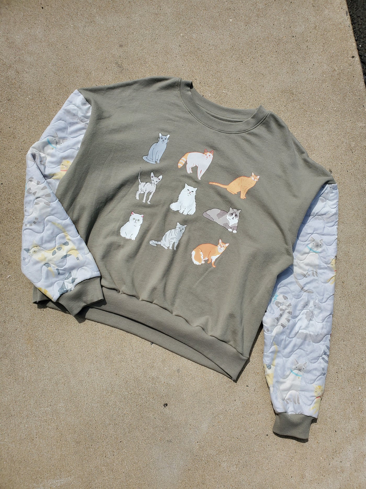 Cozy Companion Crew